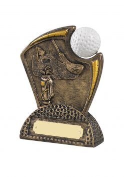 Golf ball award