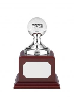 Golf ball holder