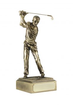 Golf Full Swing Award