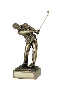 Follow Through Male Golf Swing Award