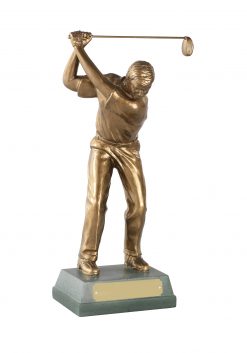 Full Swing Golfer Award