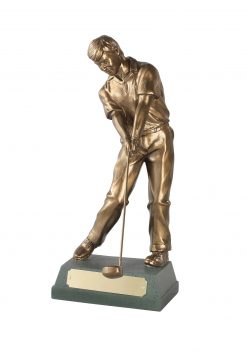 Through Swing Golf Award